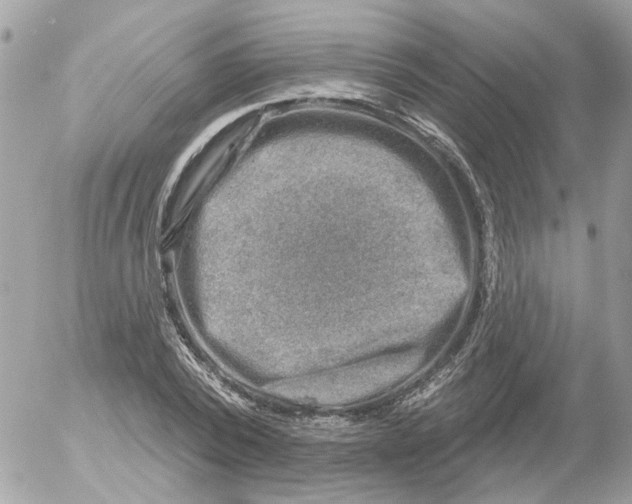 X0000052570784200507292005