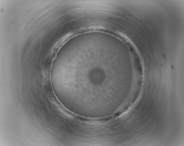 X0000052570785200507292005