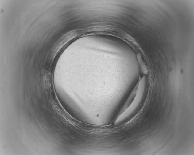 X0000052570786200507292005