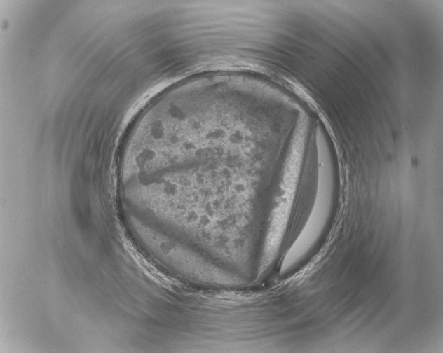 X0000052570787200507292005