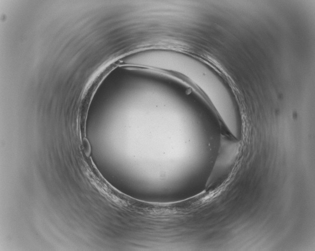 X0000052570788200507292005