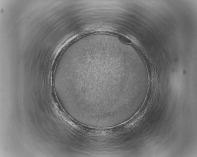 X0000052570790200507292005