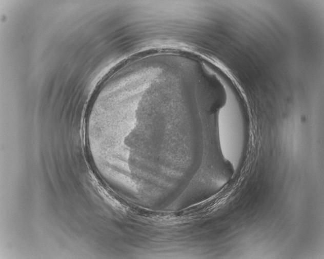 X0000052570791200507292005