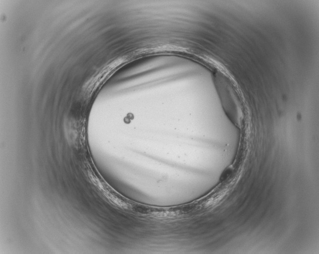 X0000052570793200507292005