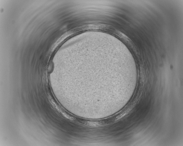 X0000052570794200507292005