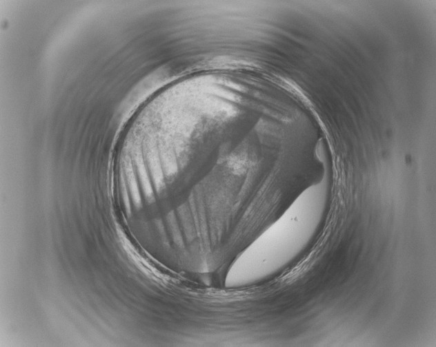 X0000052570795200507292005