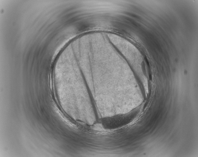 X0000052570796200507292005