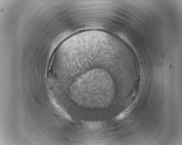 X0000052570797200507292005