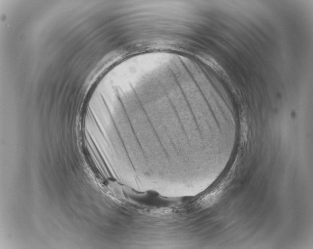 X0000052570798200507292005