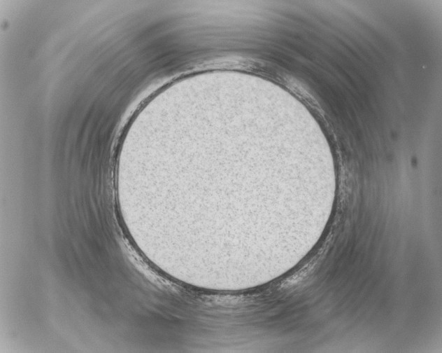 X0000052570800200507292005