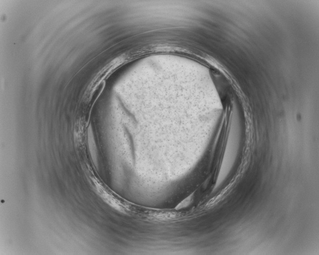 X0000052570801200507292005