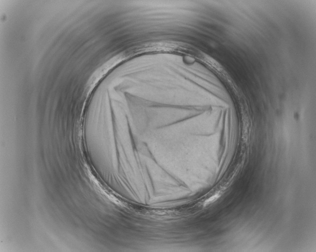 X0000052570802200507292005