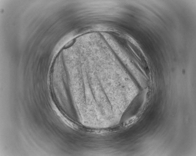 X0000052570803200507292005