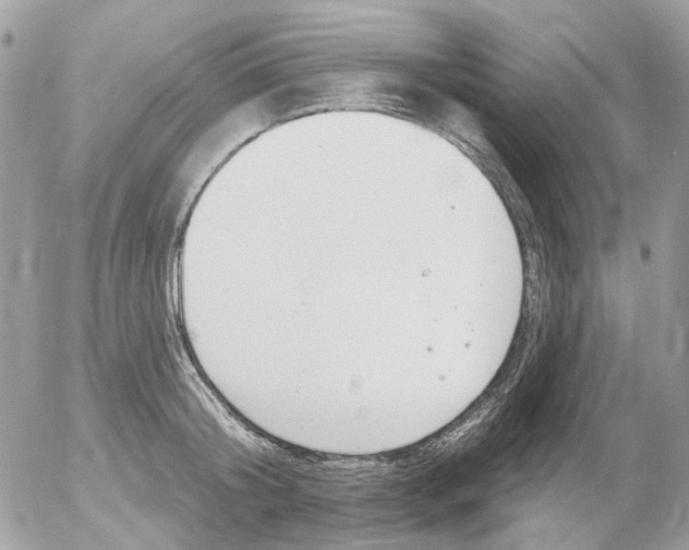 X0000052570804200507292005