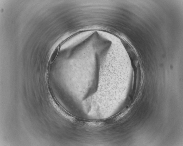 X0000052570805200507292005