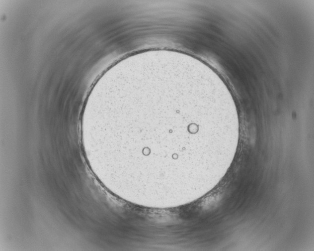 X0000052570807200507292005