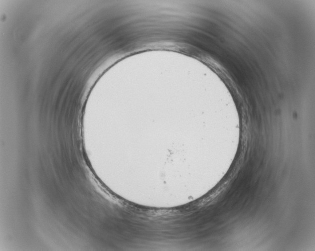 X0000052570808200507292005