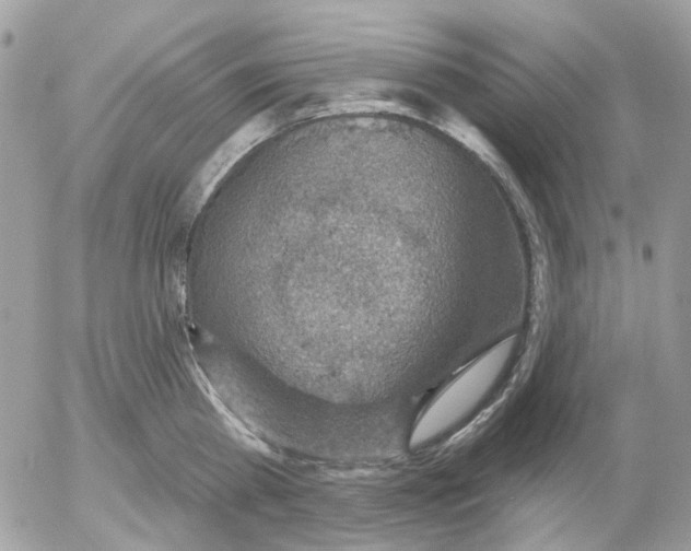 X0000052570809200507292005