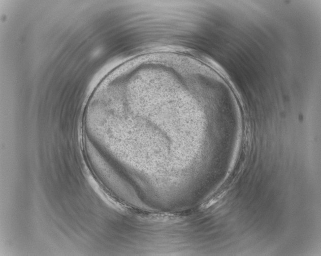 X0000052570811200507292005