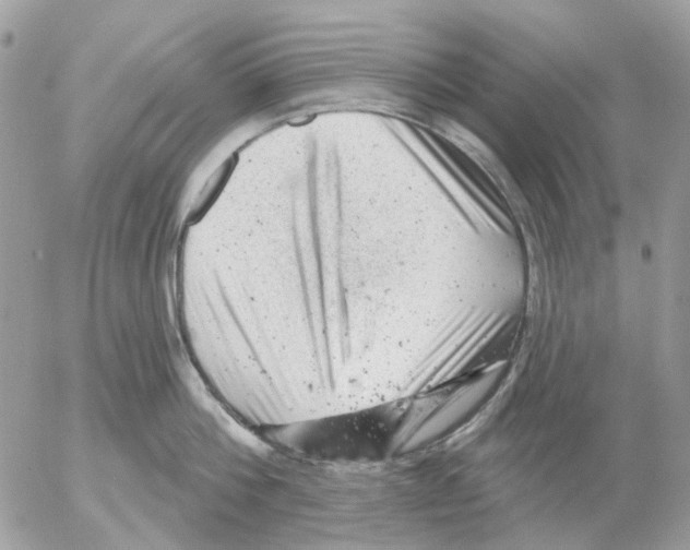 X0000052570812200507292005