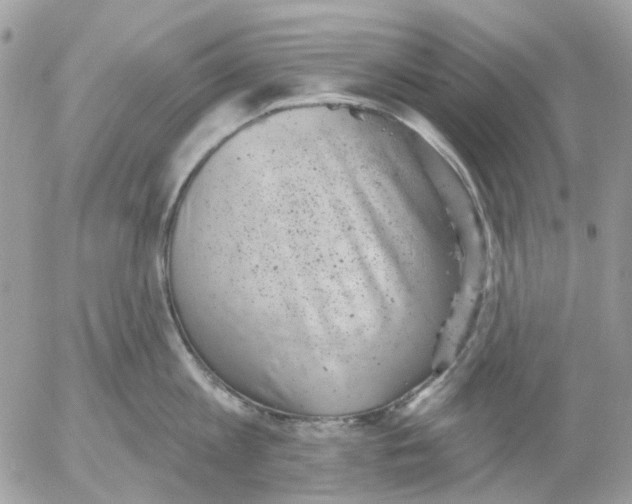 X0000052570813200507292005