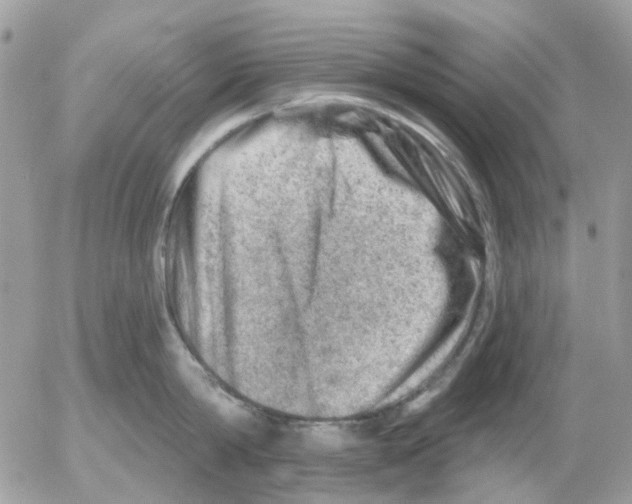 X0000052570814200507292005