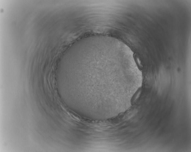 X0000052570817200507292004