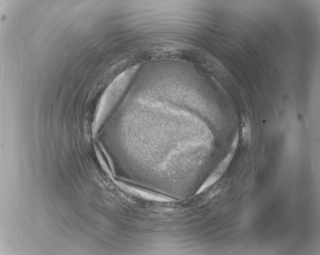 X0000052570819200507292004