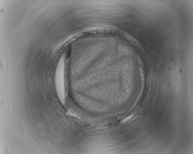 X0000052570822200507292004