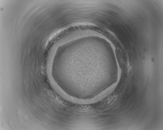 X0000052570823200507292004