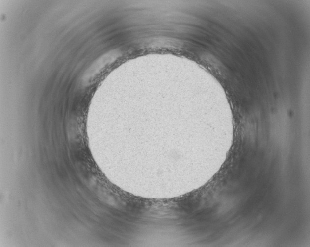 X0000052570824200507292004