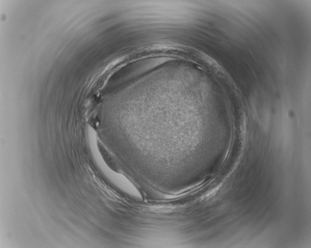 X0000052570825200507292004