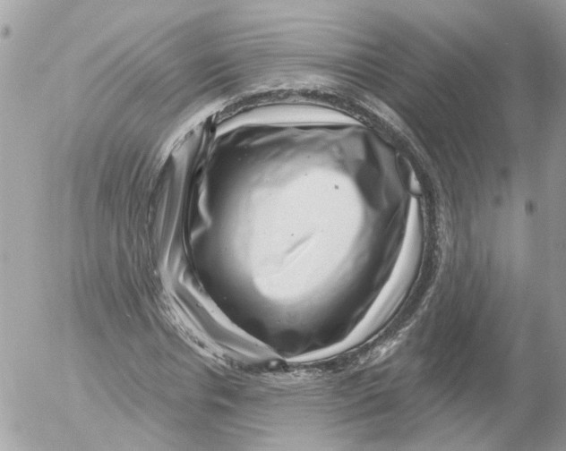 X0000052570826200507292004