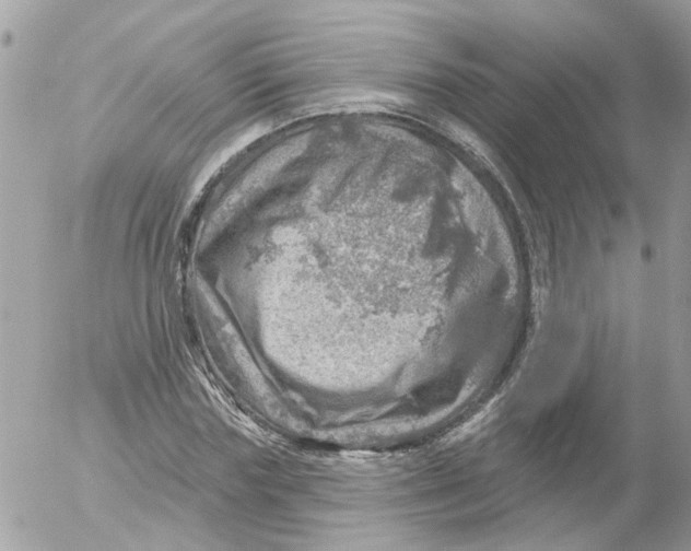 X0000052570827200507292004