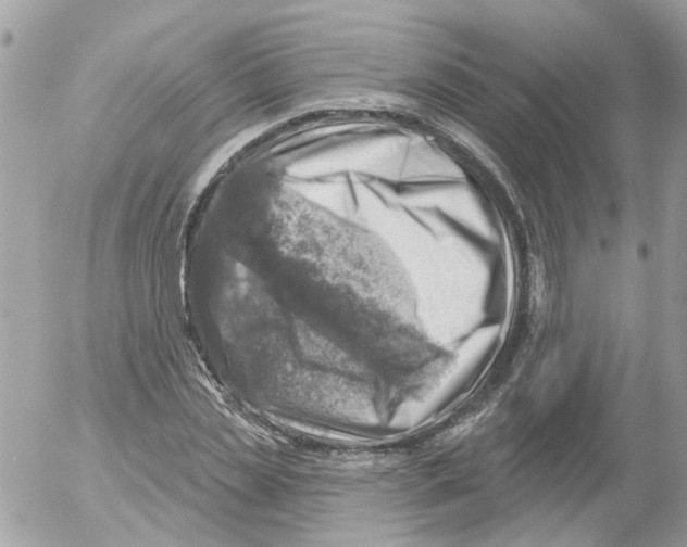 X0000052570829200507292004