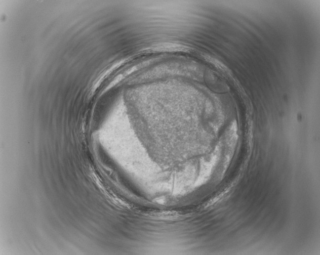 X0000052570833200507292004