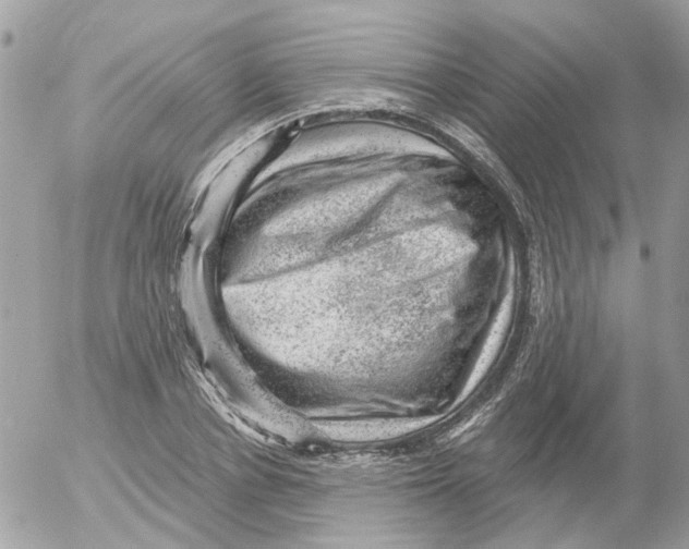 X0000052570834200507292004