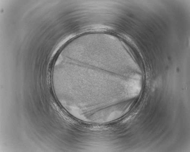 X0000052570835200507292004