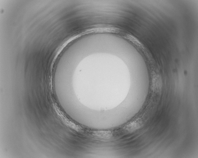 X0000052570836200507292004