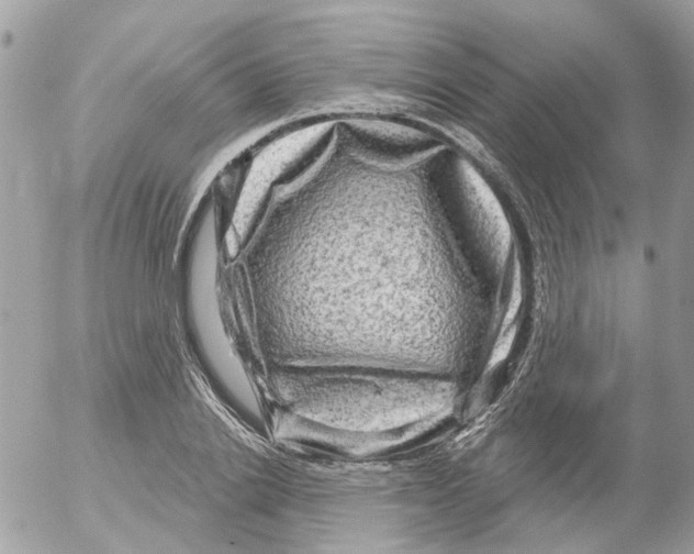 X0000052570838200507292004