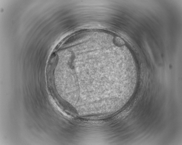 X0000052570840200507292004