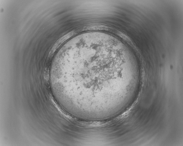 X0000052570841200507292004