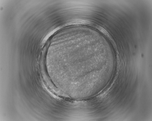 X0000052570842200507292004