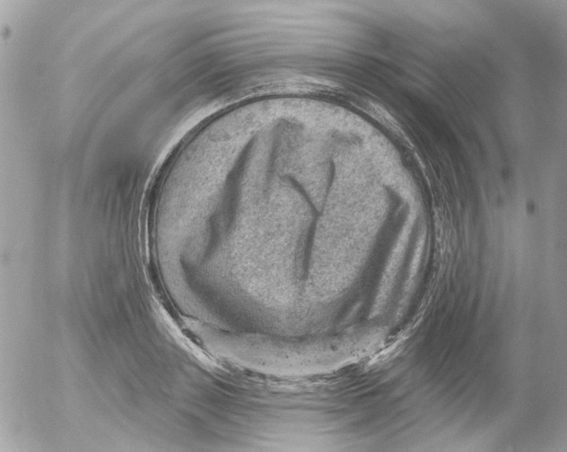 X0000052570843200507292004