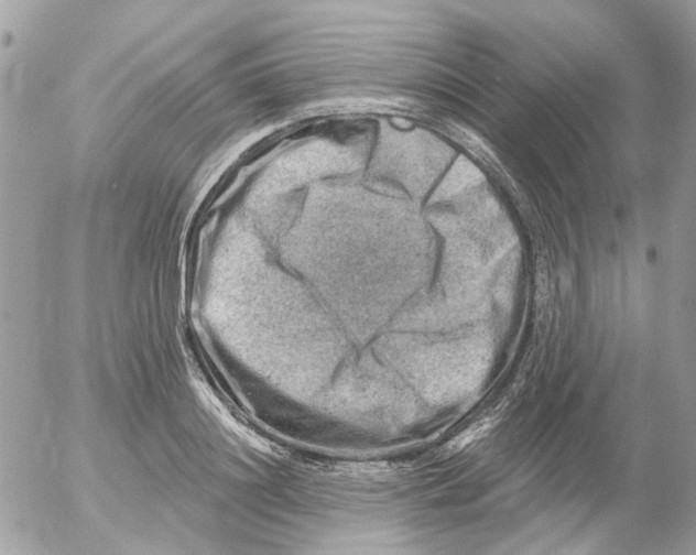 X0000052570844200507292004