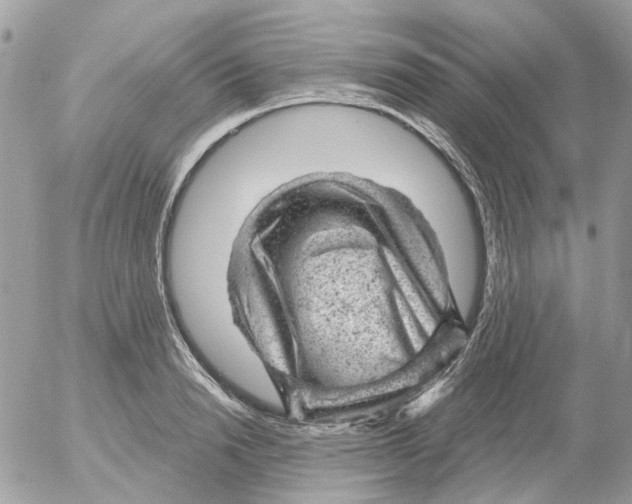 X0000052570846200507292004