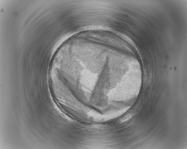 X0000052570847200507292004