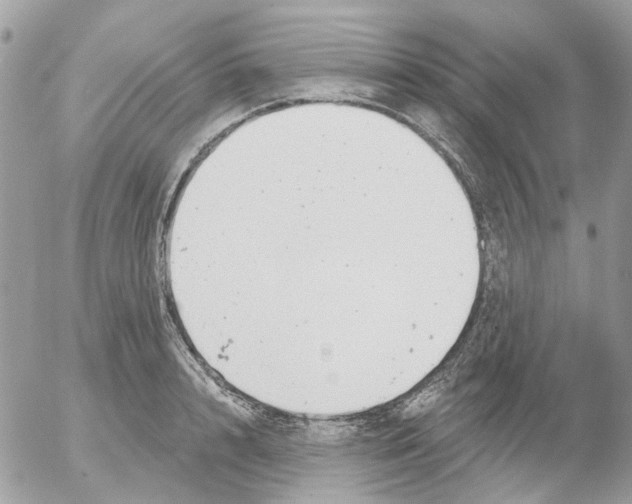 X0000052570848200507292004