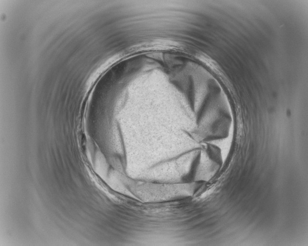 X0000052570850200507292004