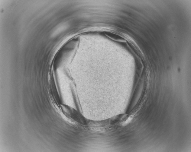 X0000052570852200507292004